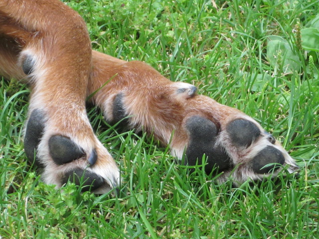 files/behle/bilder/fotos 60429.jpg